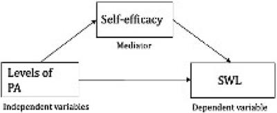 Associations between levels of physical activity and satisfaction with life among Norwegian adolescents: a cross-sectional study